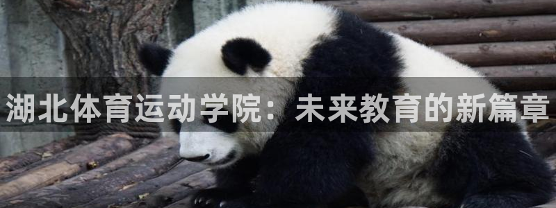 米兰体育官网下载招商电话号码：湖北体育运动学院：未来