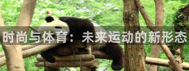 米兰体育官网下载平台是正规平台吗知乎：时尚与体育：未