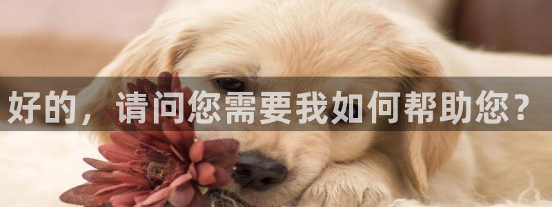 米兰体育官网下载招商电话地址：好的，请问您需要我如何