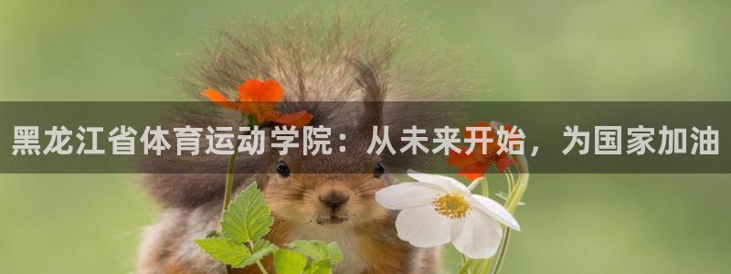 米兰体育官方正版app官网：黑龙江省体育运动学院：从未来开始