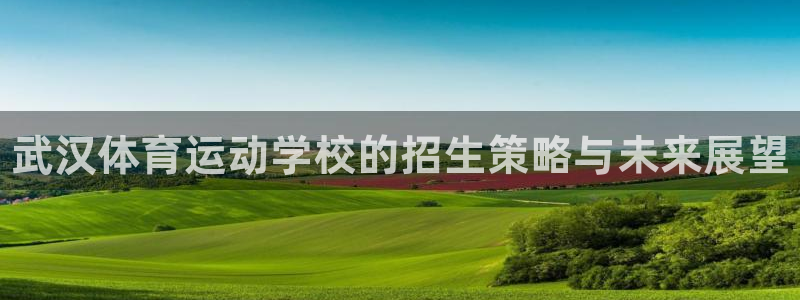 米兰体育官方平台体育：武汉体育运动学校的招生策略与未