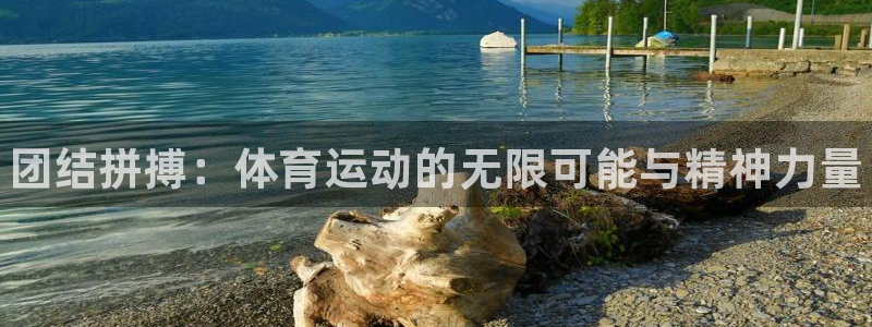 米兰体育官方正版app娱乐下载：团结拼搏：体育运动的