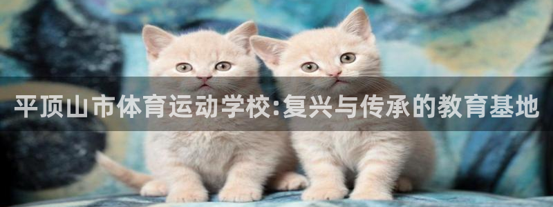米兰体育官网下载平台是正规平台吗安全吗：平顶山市体育