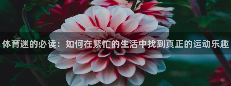 注册米兰体育官方正版app：体育迷的必读：如何在繁忙