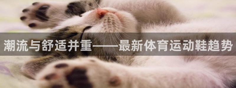 米兰体育官网下载软件：潮流与舒适并重——最新体育运动