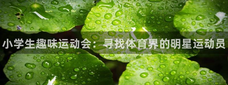 米兰体育官网下载招商电话地址是多少：小学生趣味运动会
