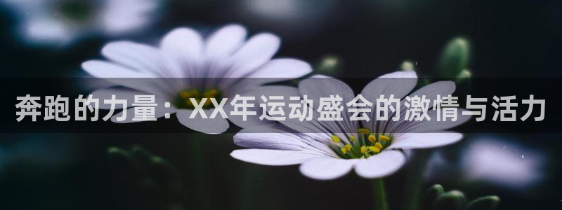 米兰体育官方平台体育：奔跑的力量：XX年运动盛会的激
