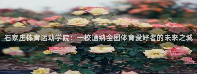 米兰体育官网下载招商电话是多少啊：石家庄体育运动学院：一校通