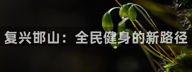 米兰体育官网下载平台是正规平台吗知乎：复兴邯山：全民健身的新