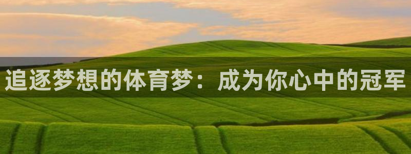 米兰体育官方正版app娱乐平台：追逐梦想的体育梦：成