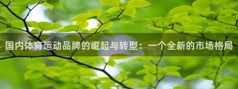 米兰体育官网下载招商电话是多少号码：国内体育运动品牌