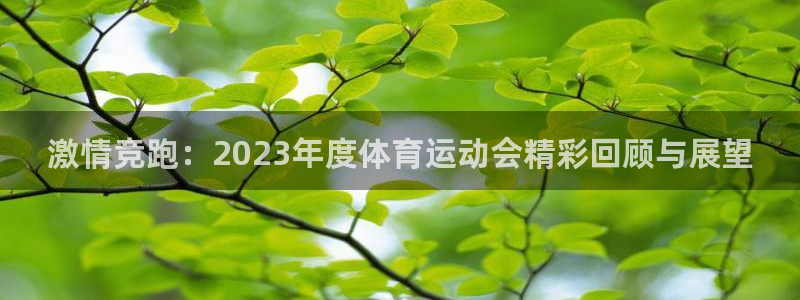 米兰体育官方正版app娱乐：激情竞跑：2023年度体