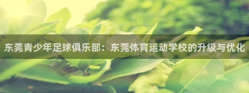 米兰体育官方正版app集团logo：东莞青少年足球俱