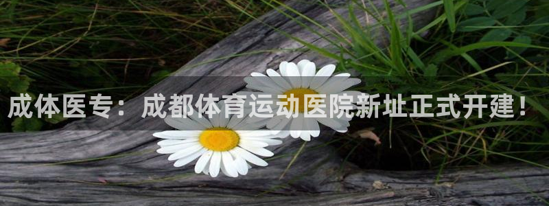 米兰体育官网下载是干嘛的公司