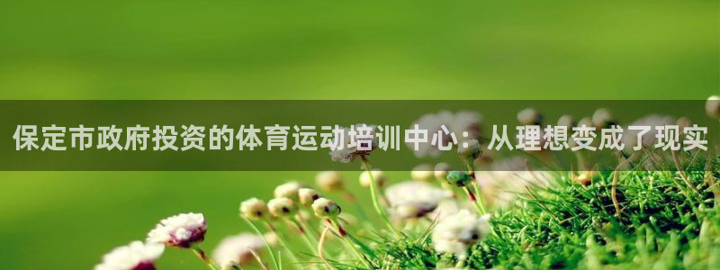 米兰体育官网下载平台注册流程图：保定市政府投资的体育