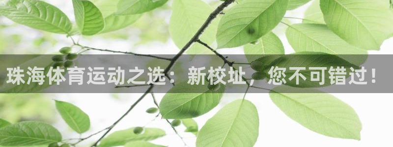米兰体育官网下载招商电话号码：珠海体育运动之选：新校址，您不