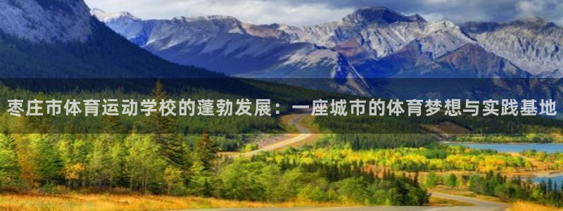 米兰体育官方正版app娱乐首页网站大全：枣庄市体育运动学校的