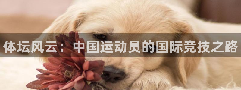 米兰体育官方正版app集团官网首页：体坛风云：中国运动员的国