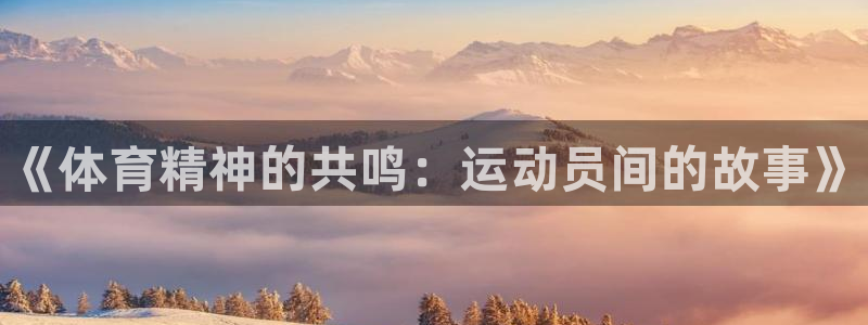 米兰体育官方正版app集团官网首页：《体育精神的共鸣