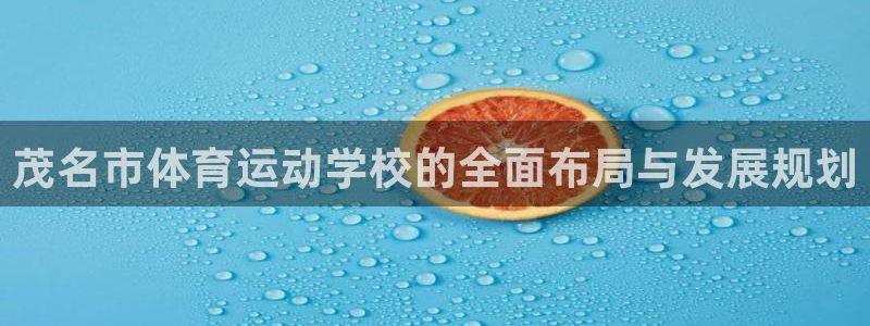 米兰体育官网下载是干嘛的公司