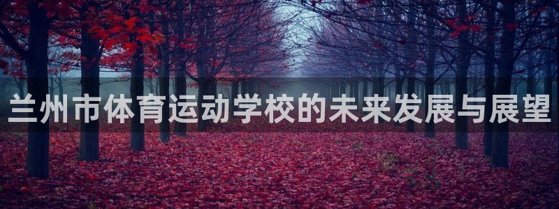 米兰体育官方正版app娱乐网站：兰州市体育运动学校的未来发展