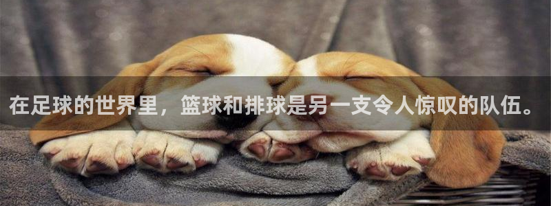 米兰体育官方正版app科技