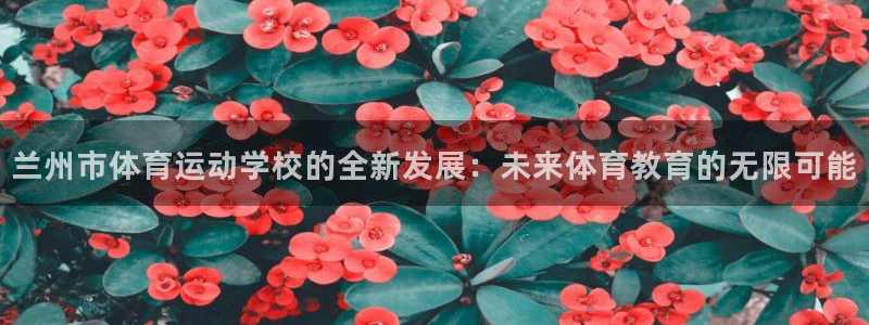 米兰体育官方正版app科技：兰州市体育运动学校的全新发展：未