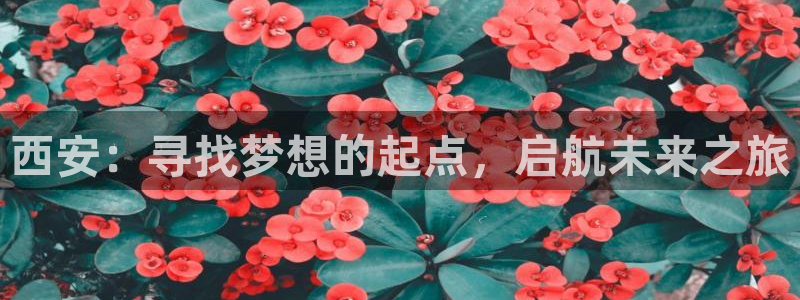 米兰体育官网下载平台注册：西安：寻找梦想的起点，启航未来之旅