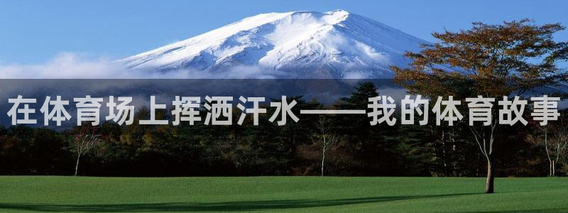 米兰体育官网下载联系电话：在体育场上挥洒汗水——我的体育故事