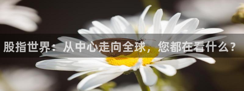 球友直播ios：股指世界：从中心走向全球，您都在看什么？