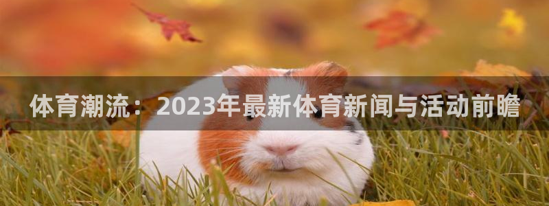 米兰体育能赚钱吗现在：体育潮流：20