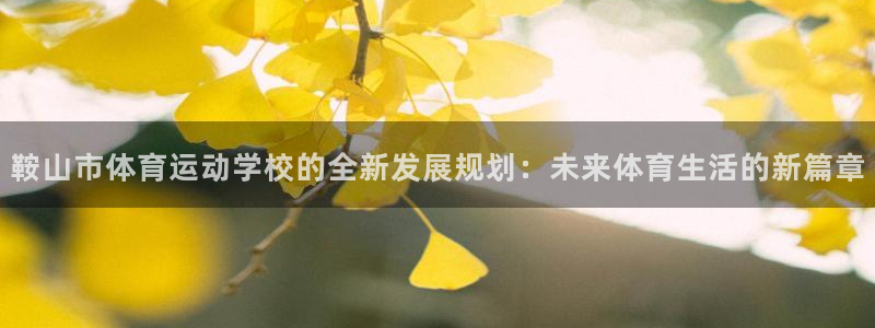 米兰体育黑平台是正规的吗安全吗：鞍山