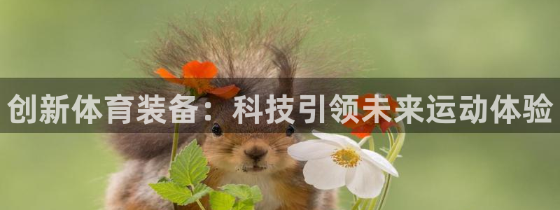 米兰体育报背景：创新体育装备：科技引领未来运动体验