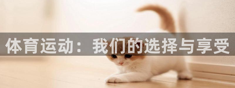 米兰体育官网登录入口网址查询：体育运动：我们的选择与享受