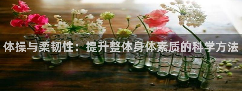 米兰体育报洗地红鸟：体操与柔韧性：提