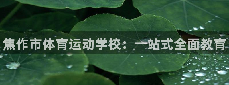 米兰体育与瓦伦西亚合作了吗：焦作市体