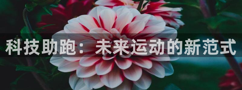 米兰体育宣布罗纳尔迪尼奥出任品牌大使