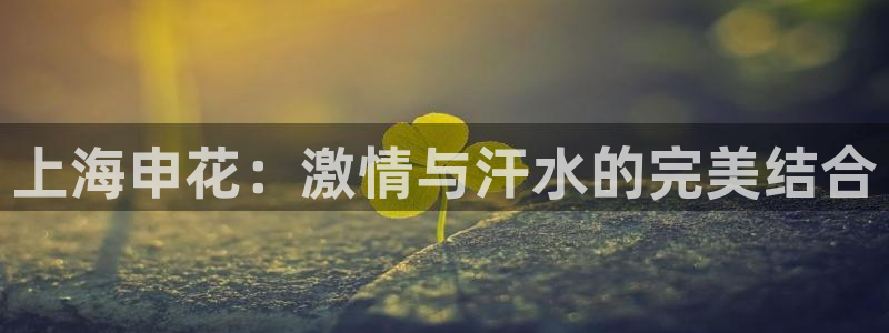 球友体育官网：上海申花：激情与汗水的完美结合