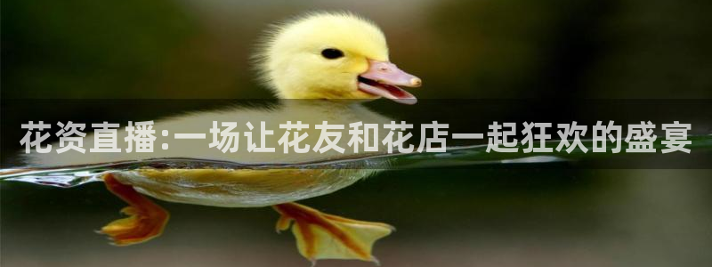球友直播nba：花资直播:一场让花友和花店一起狂欢的盛宴